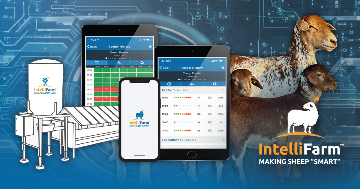 IF-Software-banner